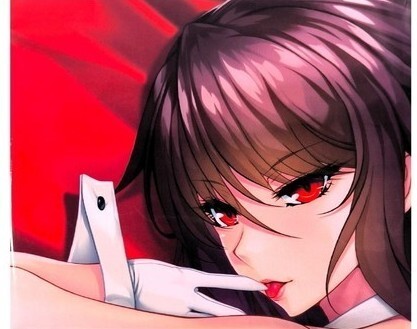 対魔忍 水城 不知火 抱き枕カバー 正規品
