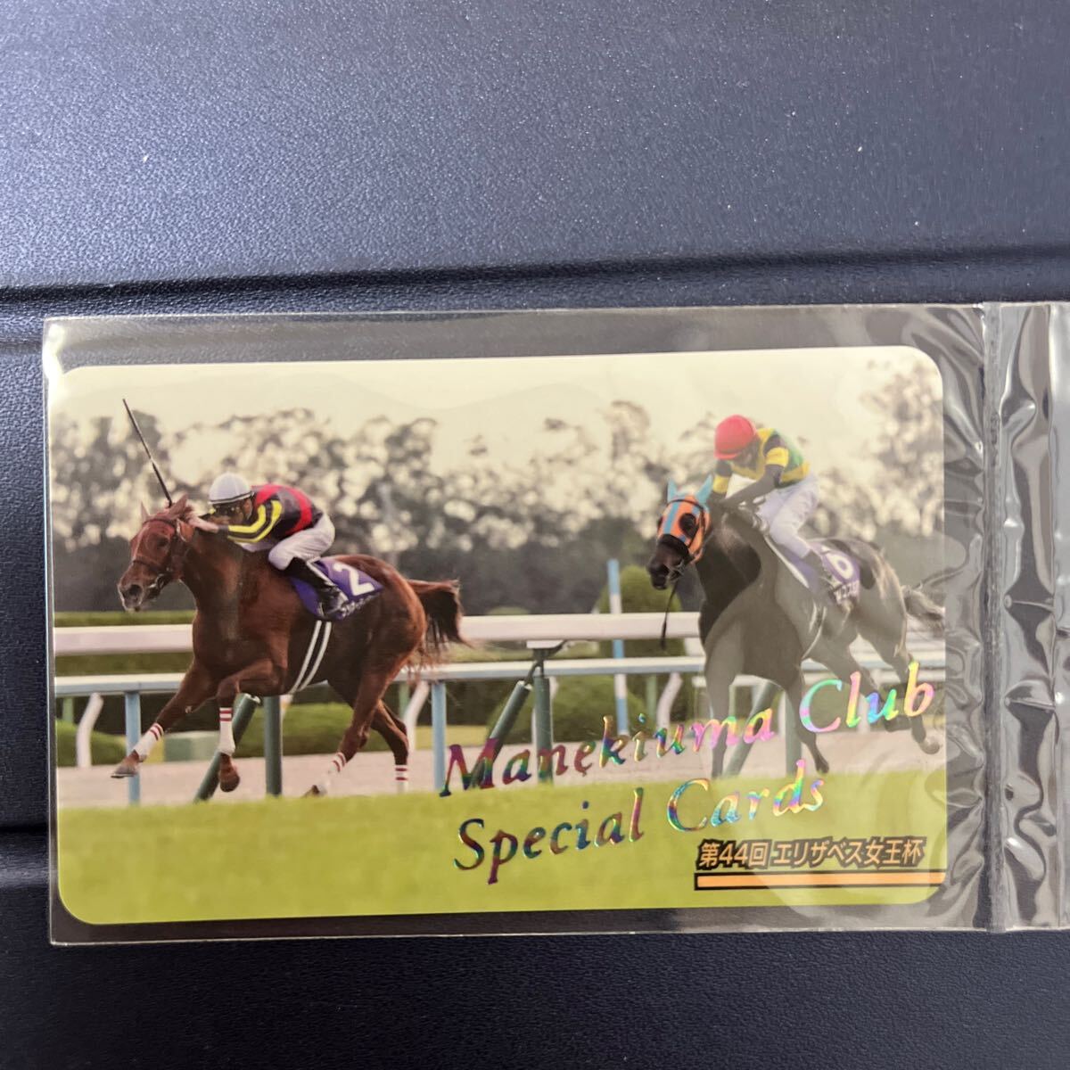 競馬 ポスター ラッキーライラック 第46回 エリザベス女王杯 ラッキー