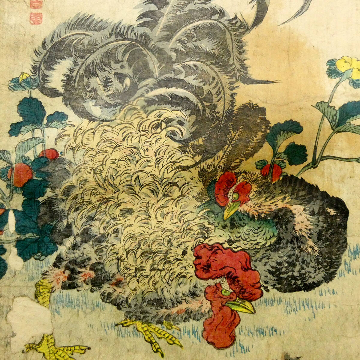 巻物 『春画 枕絵 艶画 秘画』