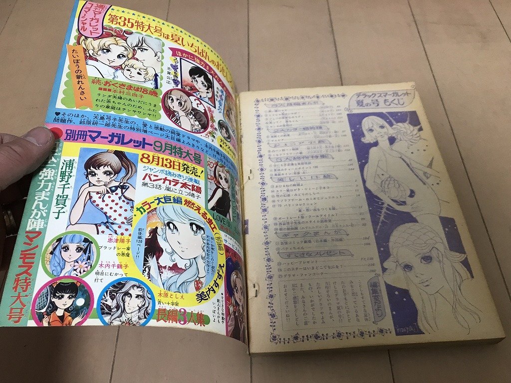 絶唱 吉岡道夫 依光隆 中一時代 中二時代 1969 1970 昭和44年