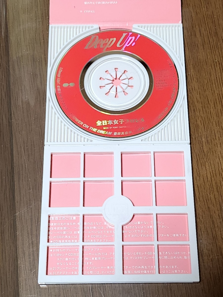 プロレス用DVDケース3枚 立野記代④LLPW特集 LLPW 全日本女子プロレス 全女 プロレス用DVDケース3枚立野記代特集 全日本女子プロレス 全女