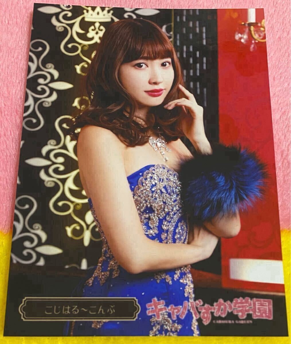 キャバすか学園　写真　岡田奈々　カレイ　カタブツ　AKB48 生写真(AKB48・SKE48)/アイドル/AKB48 岡田奈々(カタブツ