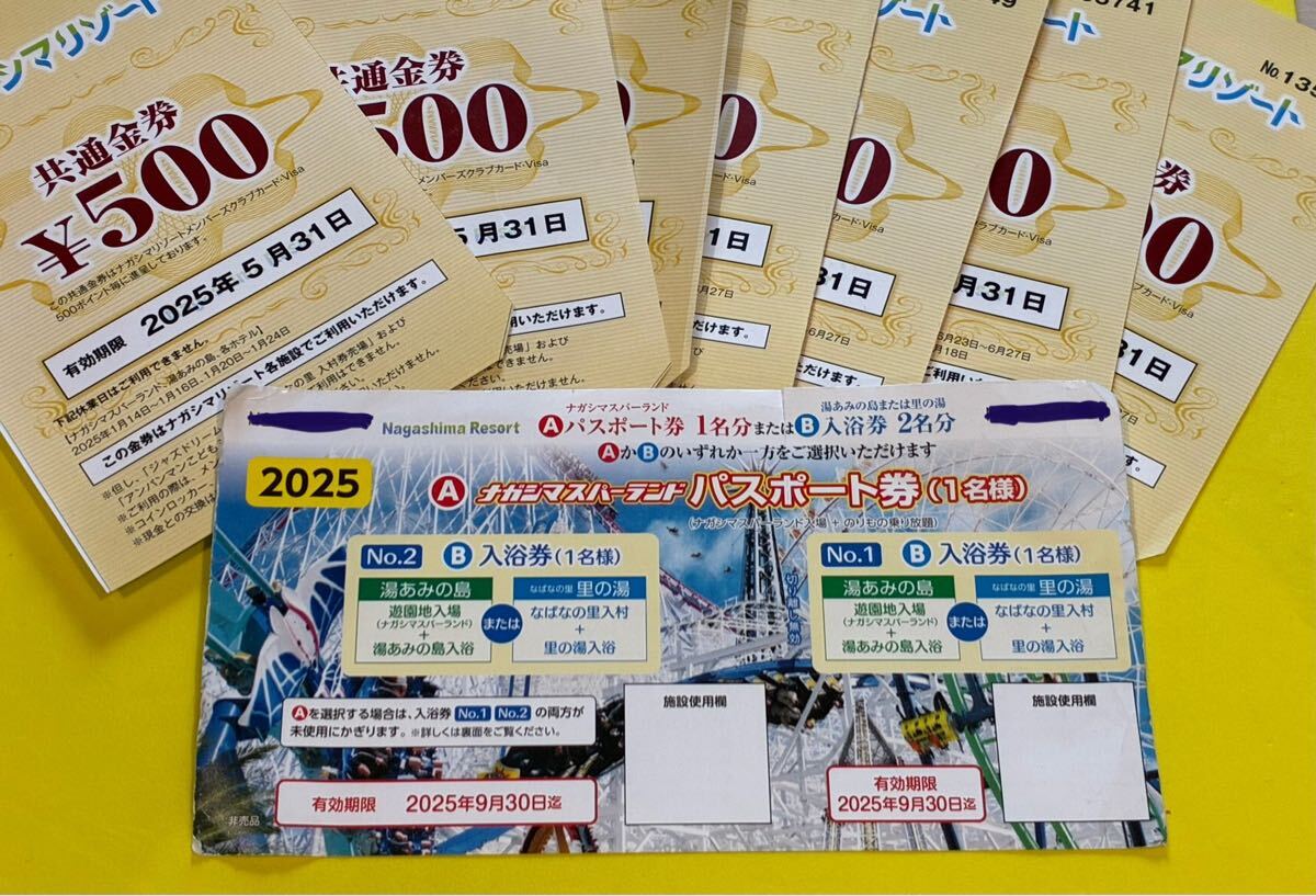ナガシマスパーランド チケット2枚+共通金券500円
