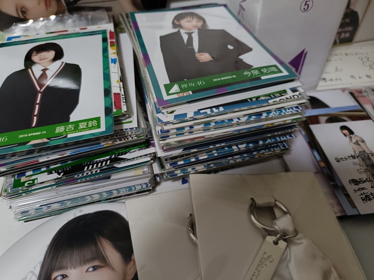 ▼コメント必須★値下げ不可▼お宝★麻丘めぐみ ご本人 直筆サイン 色紙 年代物 Yahoo!オークション - ⑮希少レア当時物 麻丘めぐみ 直筆サイン