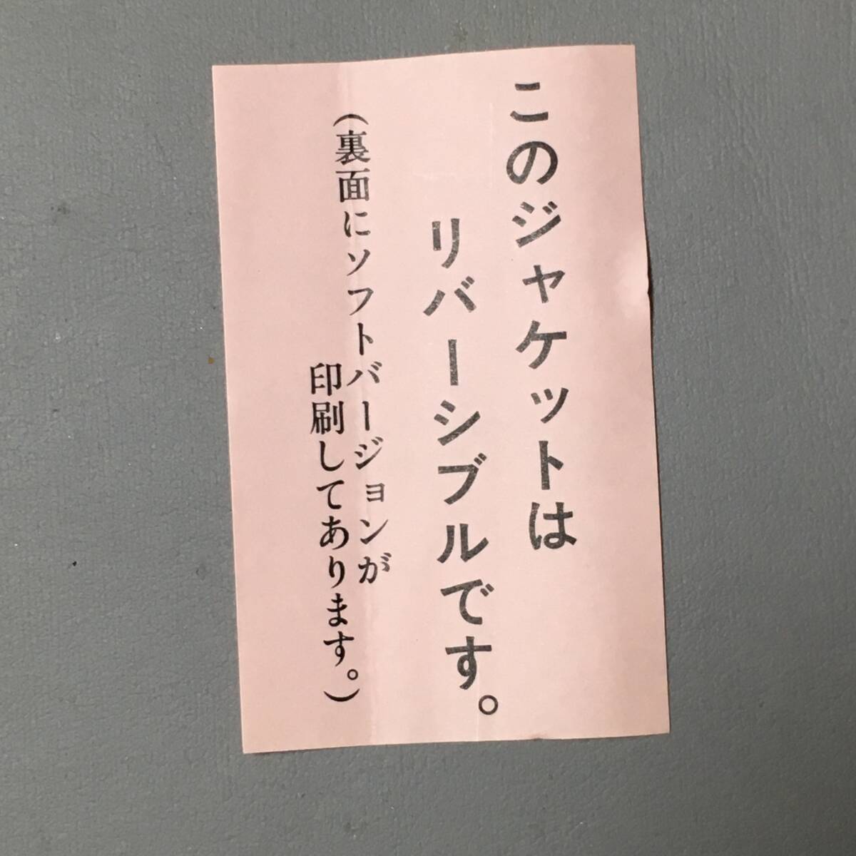 ボクもスキーに連れてって LD 帯付 入手困難 未 DVD化 大西結花 南渕一樹 ボクもスキーに連れてって LD 帯付 入手困難 未 DVD化 大西結花