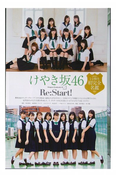 ひらがなけやき 不協和音 直筆サイン入りポスター ☆欅坂46/けやき坂46