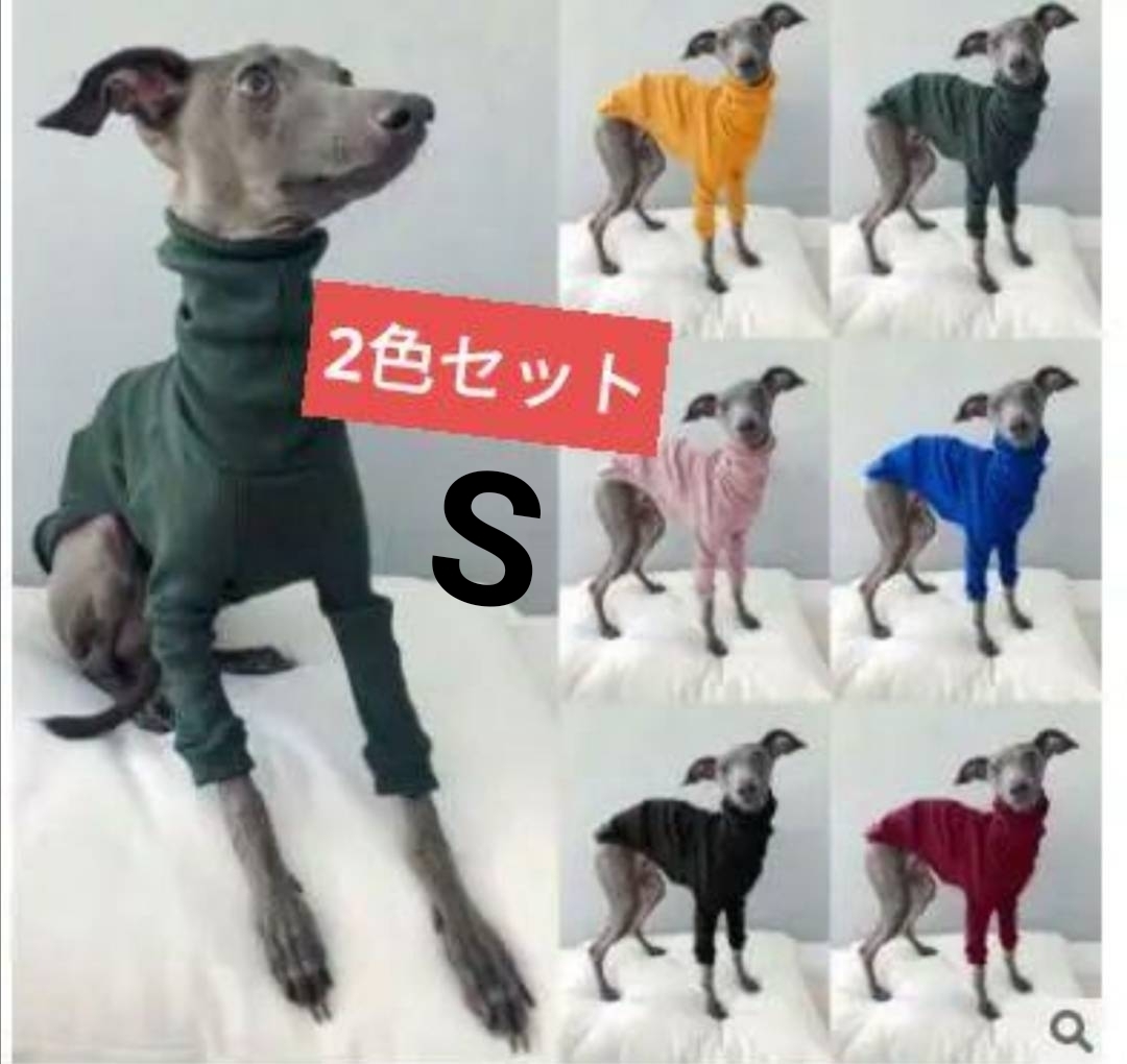 新品】・Caron・羊毛フェルト イタリアングレーハウンド イタグレ 犬