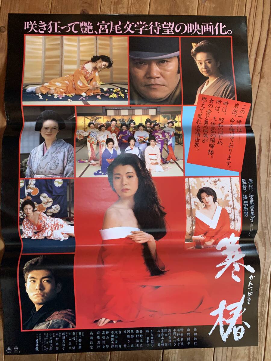 ☆ 寒椿 西田敏行 南野陽子 かたせ梨乃の落札情報詳細 - Yahoo