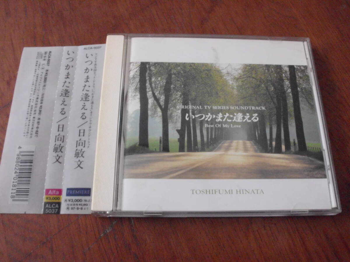 いつかまた逢える 全巻 5枚組 DVDボックス 見本版 福山雅治 桜井幸子 
