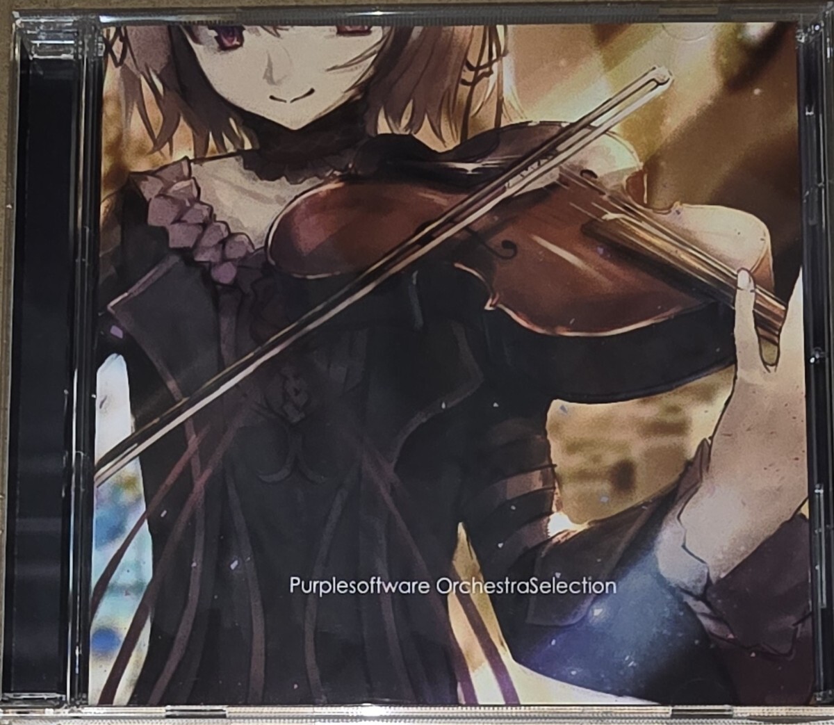 新品】青春フラジャイル タペストリー パープルソフトウェア Purple 