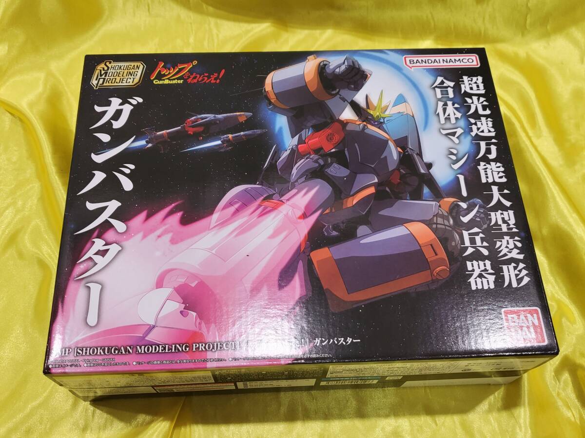 未使用】ノリコ＆ガンバスター ガレージキット完成品 グリズリーパンダ 