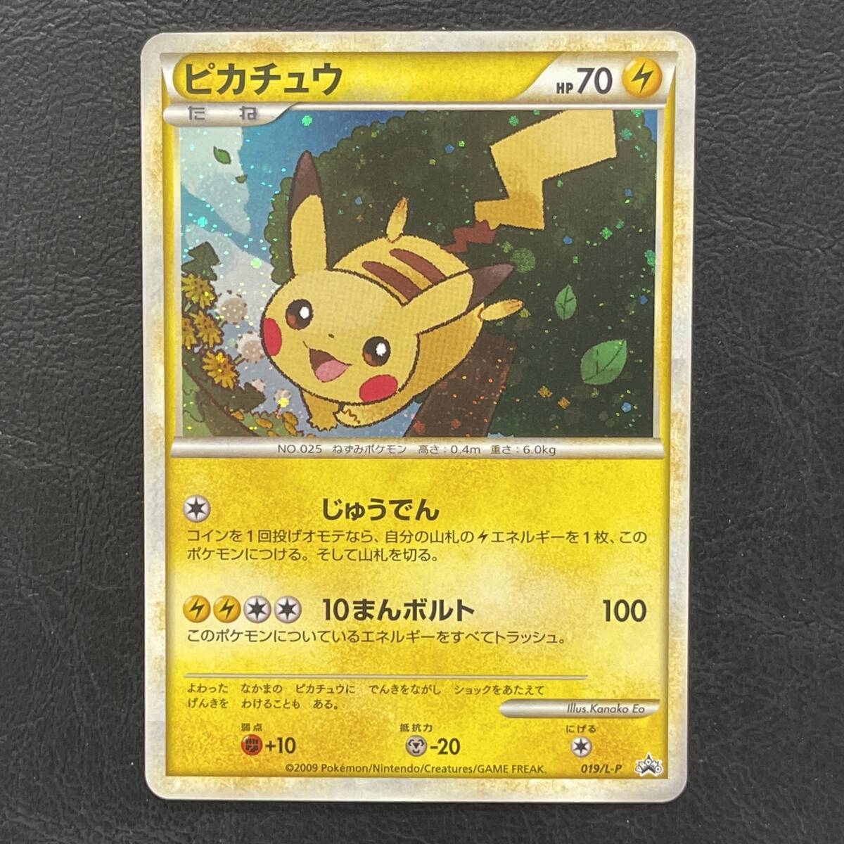 新品】ポケモンだいすきクラブ 入会特典一式 非売品 限定 プロモカード