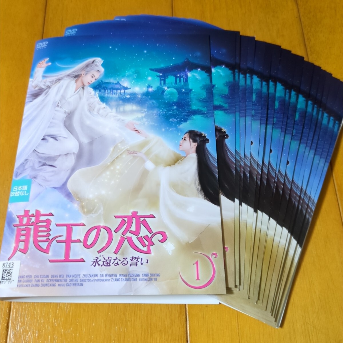 未使用】☆新品限定☆超人気中国俳優『ワン・ホーディー』俳優写真集1