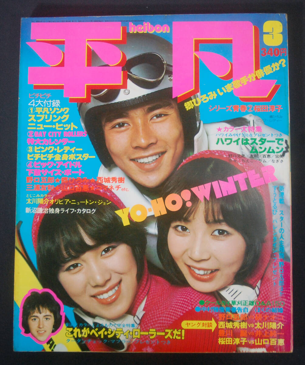 やや傷や汚れあり】大型ポスター アグネスラム 松本ちえこ 水着の落札