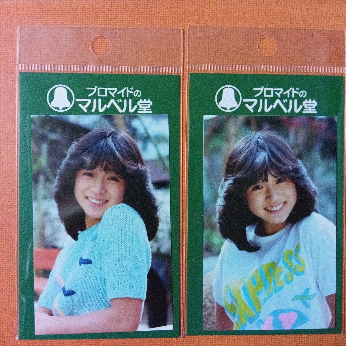 新品】中森明菜 Lサイズ 写真 プロマイド 9枚 ビキニ 下着 貴重品の