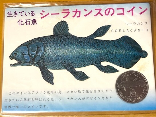 ハンドメイド 61cmシーラカンス フィギュア レプリカ 化石魚 古代魚