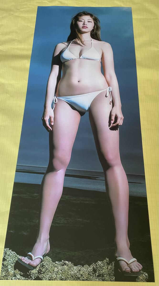 稲村亜美 等身大ポスターの落札情報詳細 - Yahoo!オークション落札価格