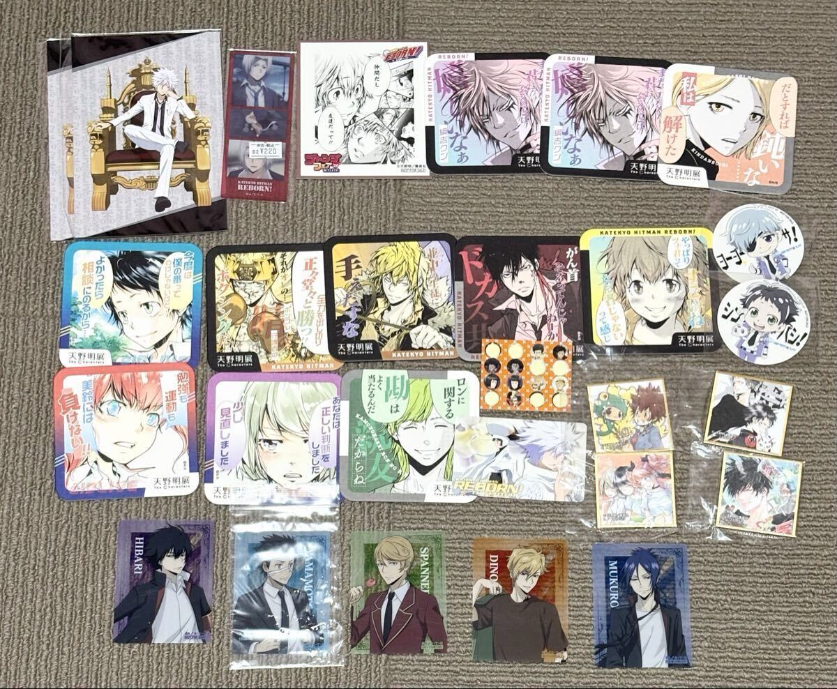家庭教師ヒットマンREBORN!リボーン*大判2Lポストカード*10年後 山本武