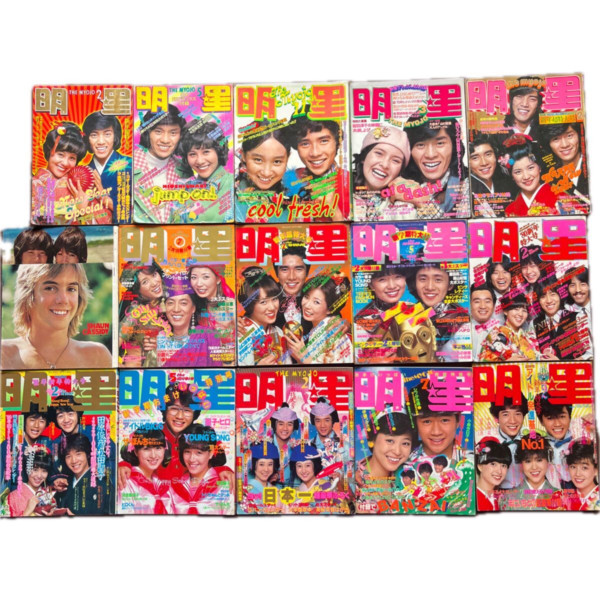一度も袋から出していません】10名当選 未開封 新垣結衣 ガッキー