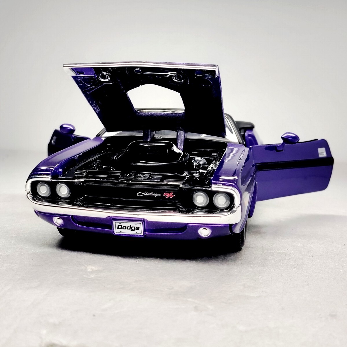 新品】【チャレンジャー cams サングラス】sams サムズchallenger 長瀬