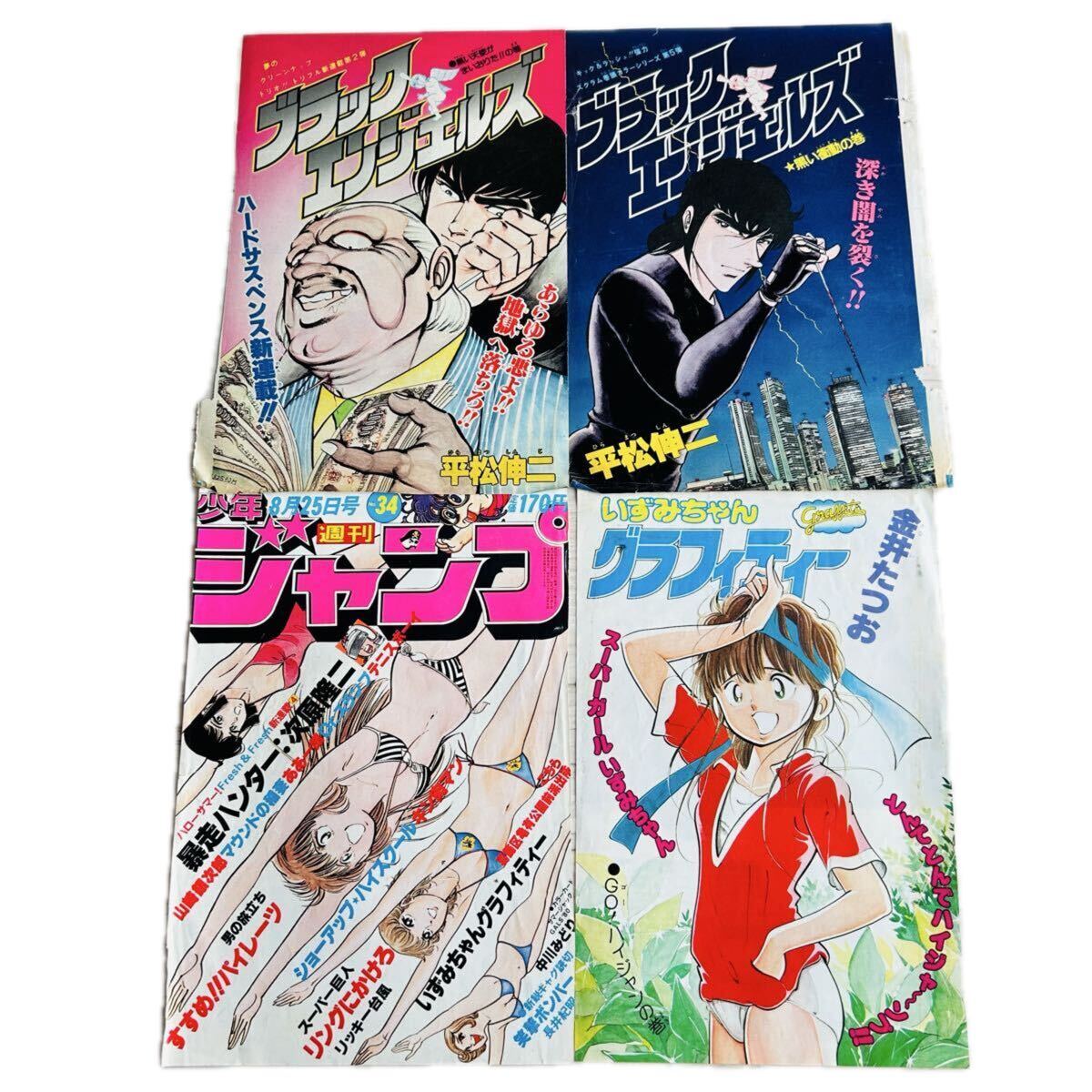 いずみちゃんグラフィティー 全3巻セット 金井たつおの落札情報詳細