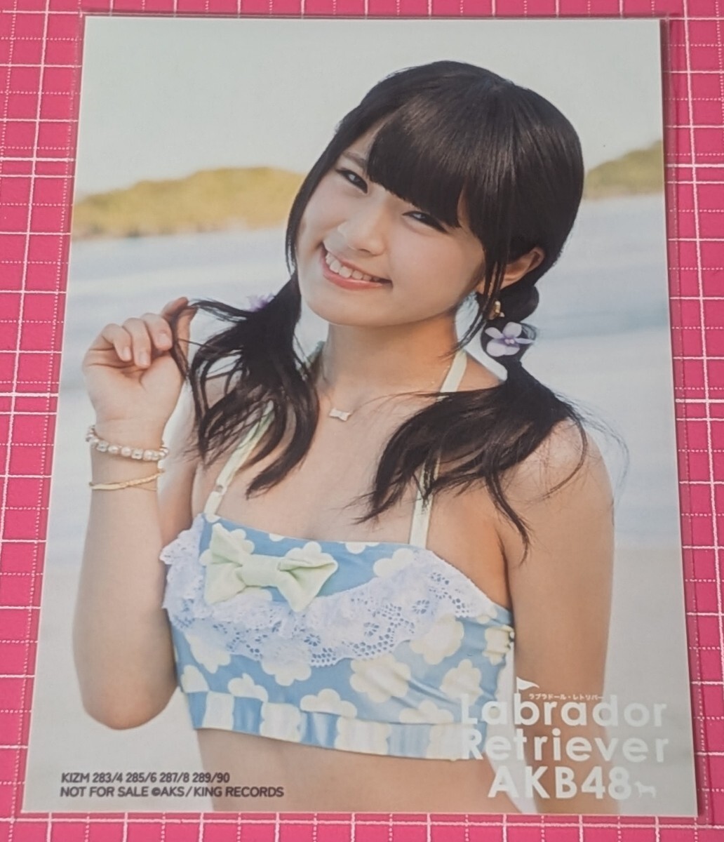 目立った傷や汚れなし】渡辺麻友 AKB48 ラブラドール・レトリバー 通常