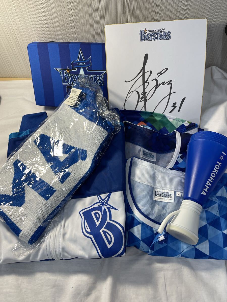 横浜DeNAベイスターズ ロゴ 球団色紙 山崎康晃 山﨑康晃 直筆サイン