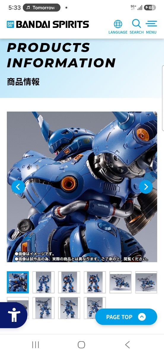 MG 1/100 MS-18E ケンプファー 塗装済完成品 機動戦士ガンダム0080