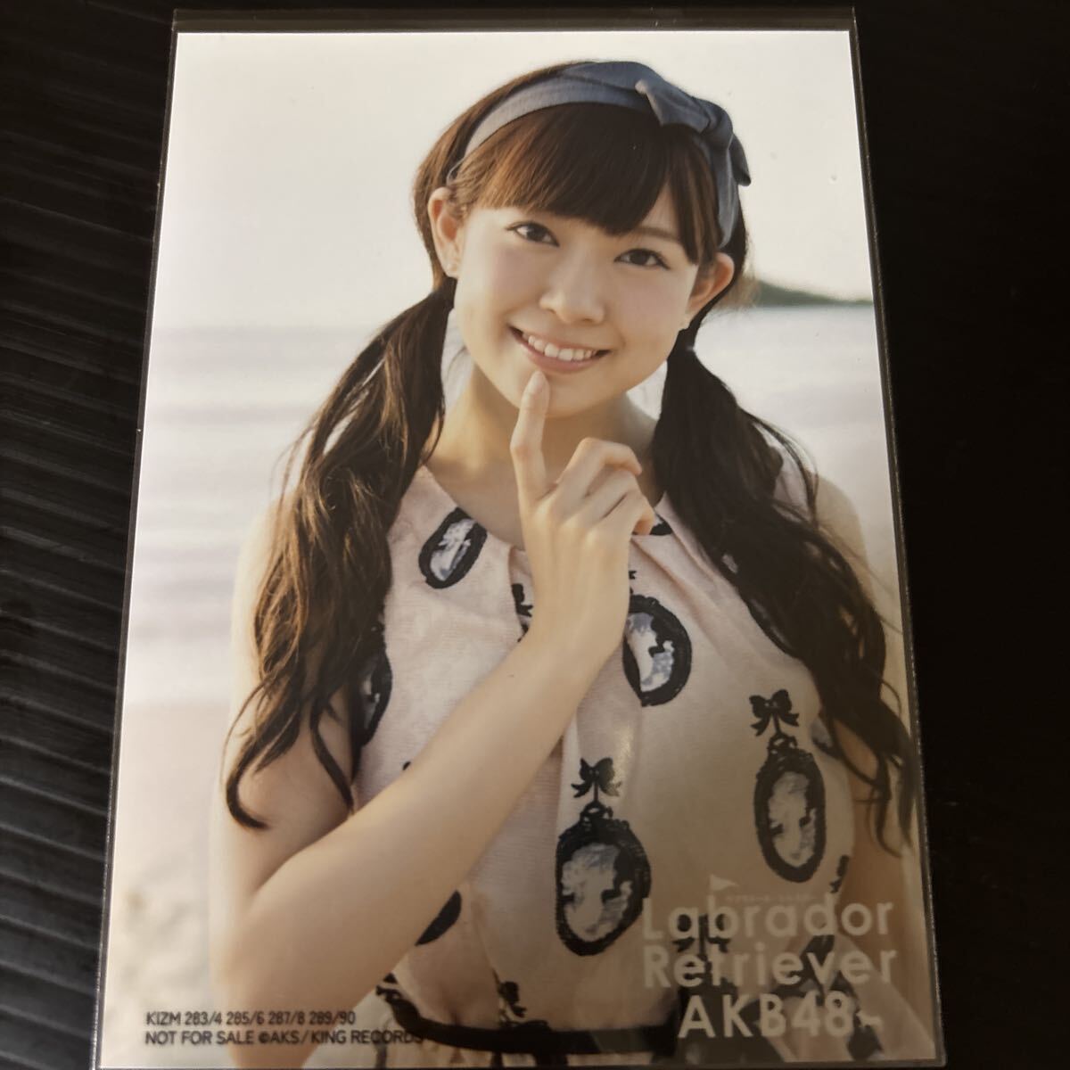 AKB48 ラブラドールレトリバー 店舗特典 7枚公式生写真 まとめ売り