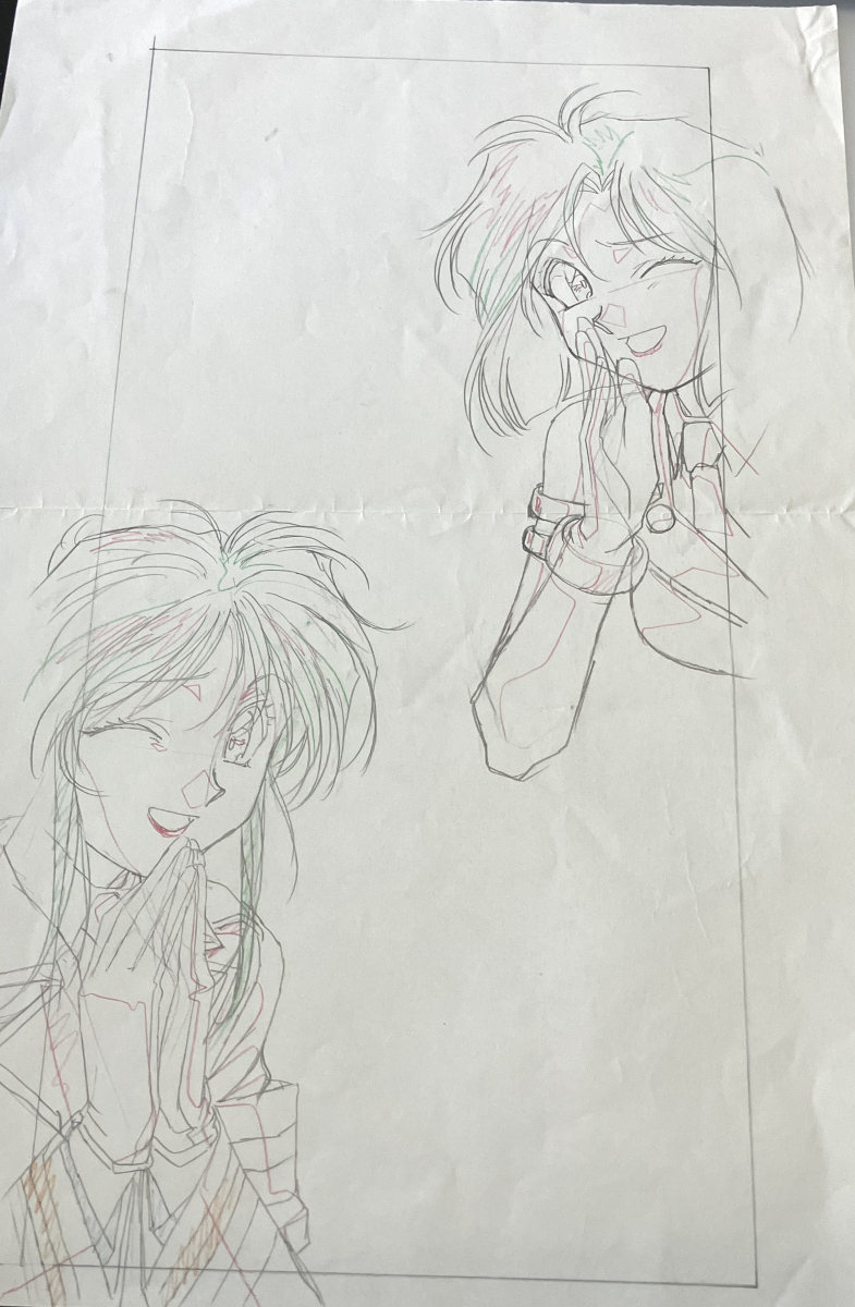 ○ DVD BOX ○ 逮捕しちゃうぞ ○ 伊東美咲 原沙知絵 速水もこみち