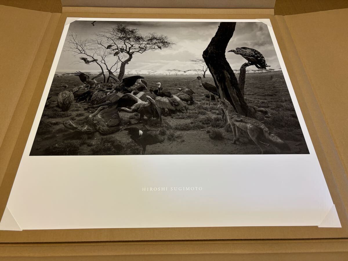 新品】杉本博司 HIROSHI SUGIMOTO 「KEGON FALLS」「華厳滝」**限定数