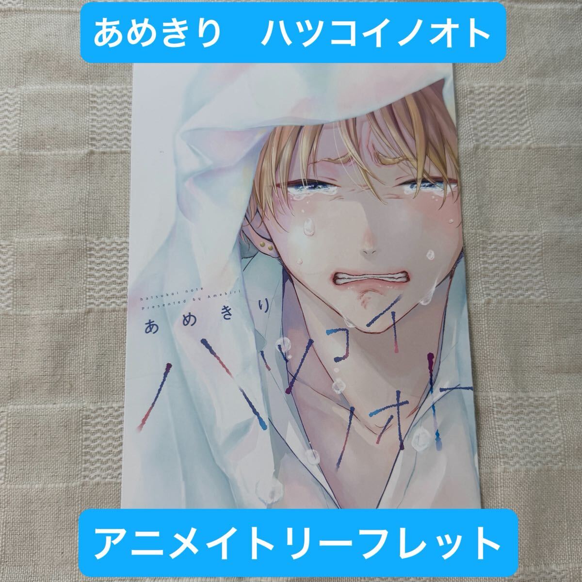 見多ほむろ 好みじゃなかと コミコミスタジオ イラストカード