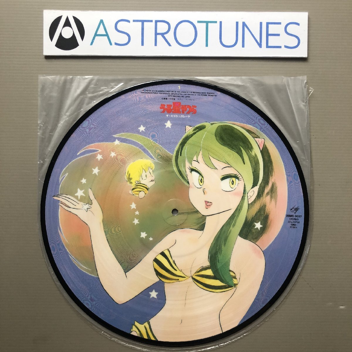 A00438799/12インチ/さ・と・み(石鍋さとみ)「うる星やつら：Stars On