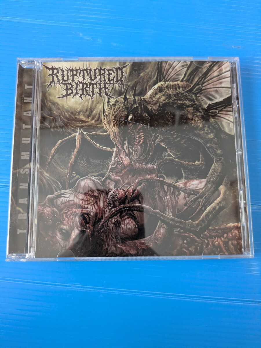 K176○「 GROTESQUE グロテスク UNRATED VERSION」DVD / 長澤つぐみ