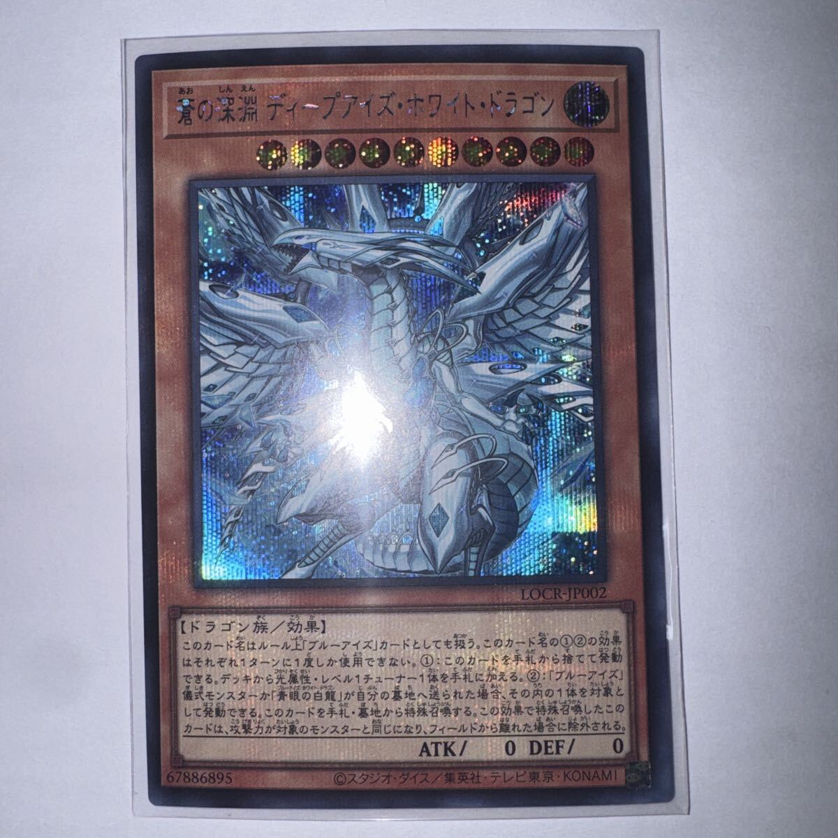 中古】シクブル 青眼の白龍 シークレットレア 1999年Vジャンプフェスタ