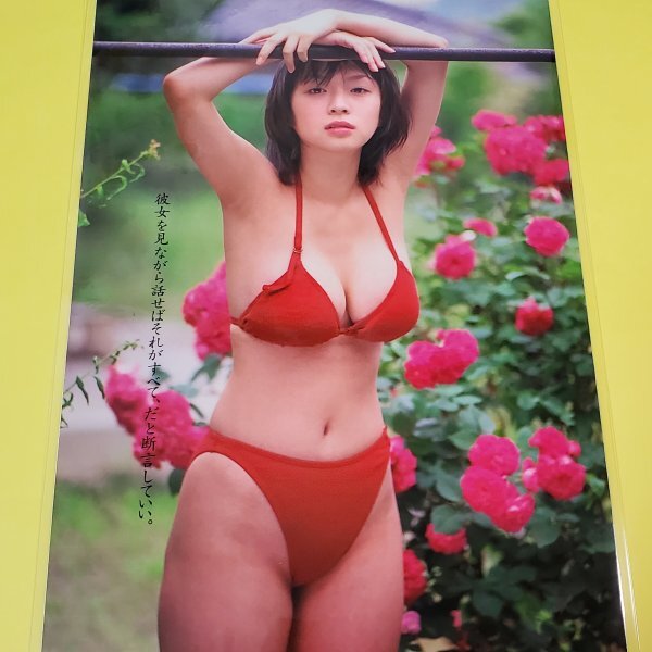 目立った傷や汚れなし】[高品質ラミネート処理][ 水川あさみ