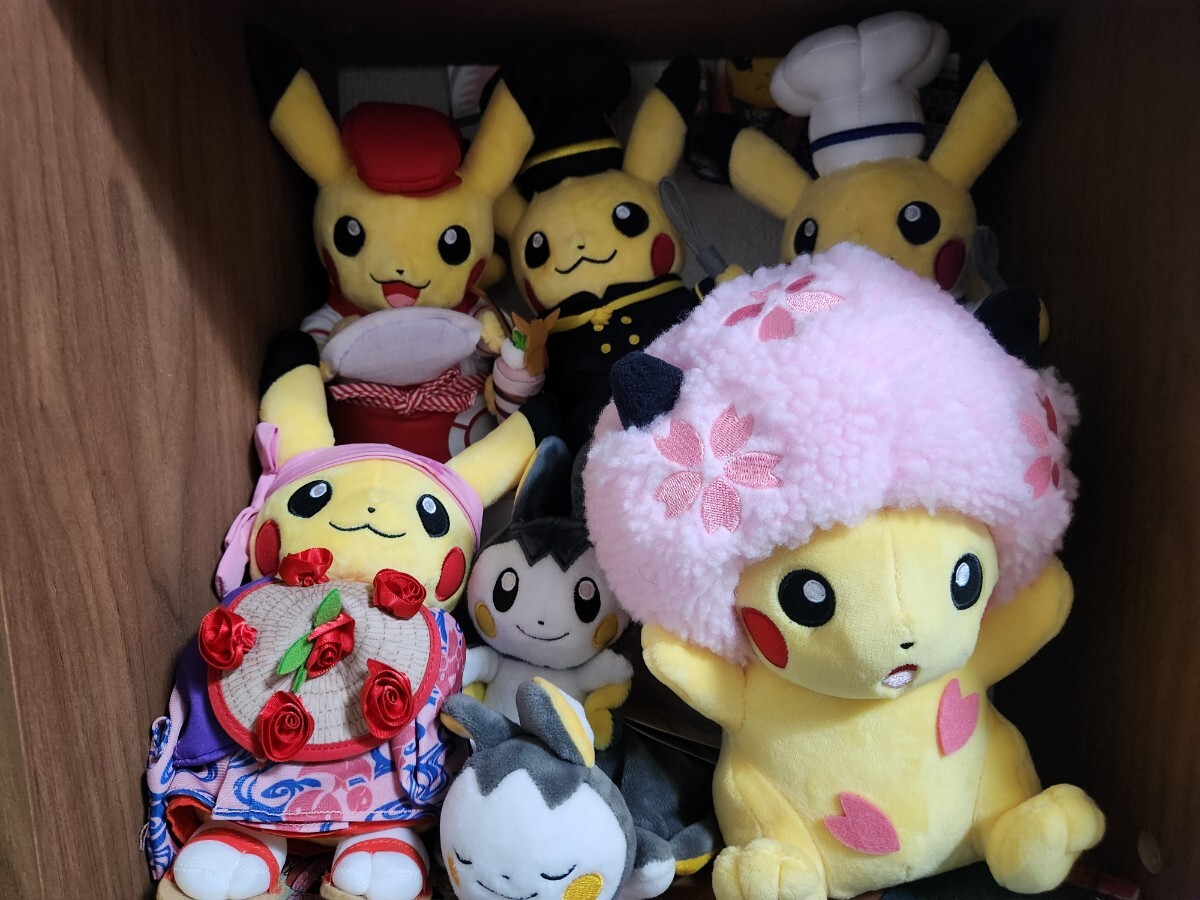 TOMY ポケモンぬいぐるみ ピカチュウとピチュー兄弟の落札情報詳細
