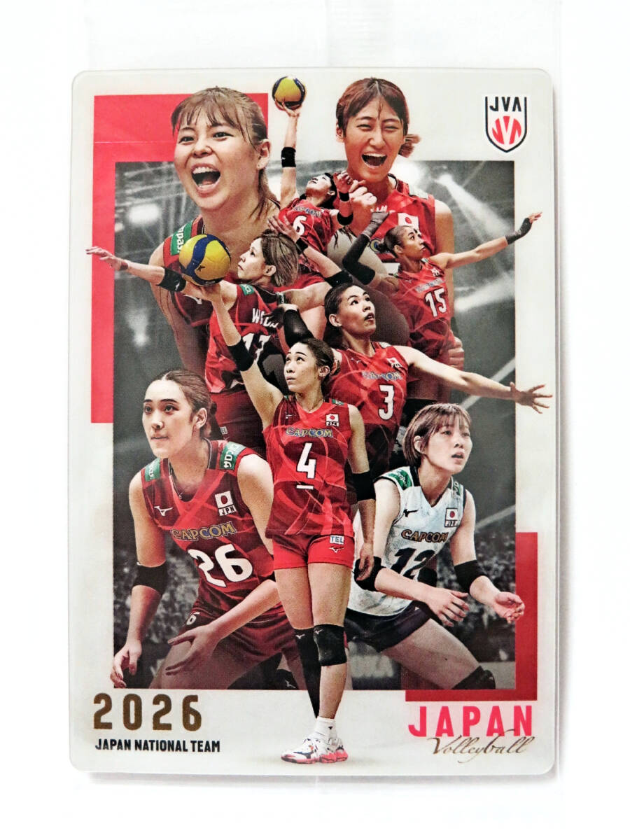 送220円～ 稀少! DOA XTREME BREACH VOLLEYBALL「霞 カスミ & あやね