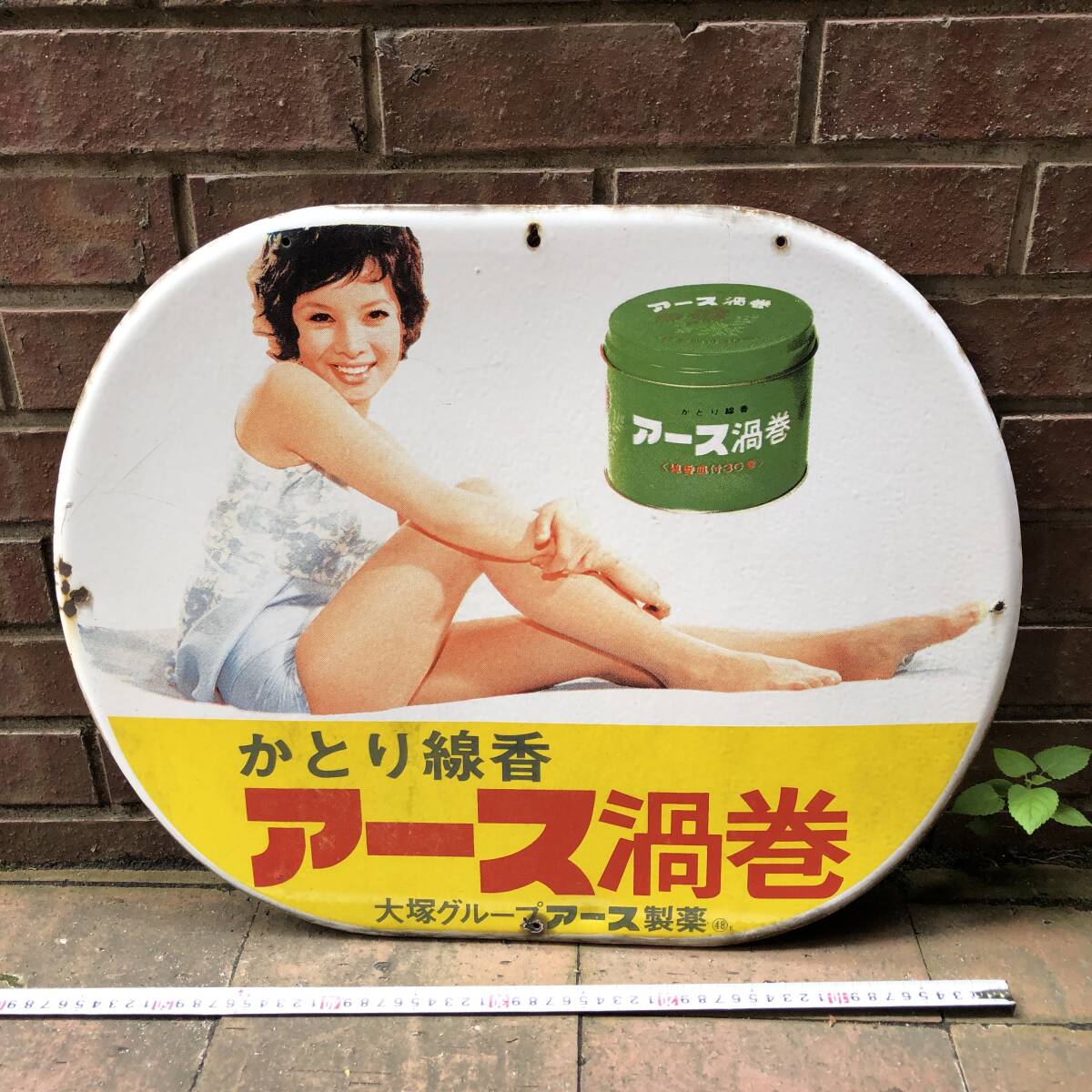 水原弘 強力殺虫剤 ハイアース アース製薬 大塚製薬 大塚グループ 琺瑯