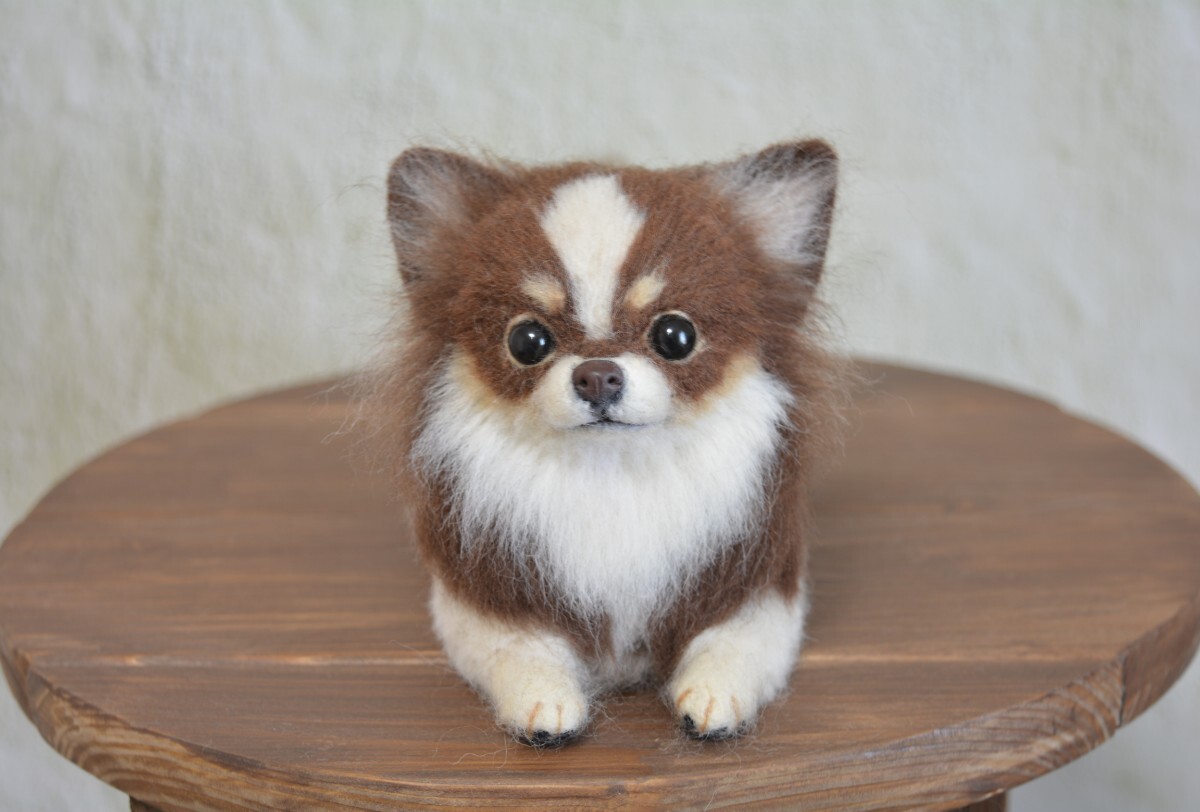 新品】☆羊毛フェルト☆ぴのきち☆5.5cmのブラックタンチワワちゃん