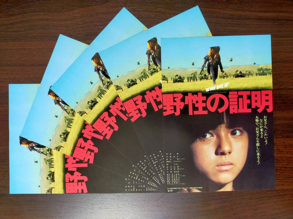 1978年 東映映画「野性の証明」古いスチール写真 6枚セット 高倉健