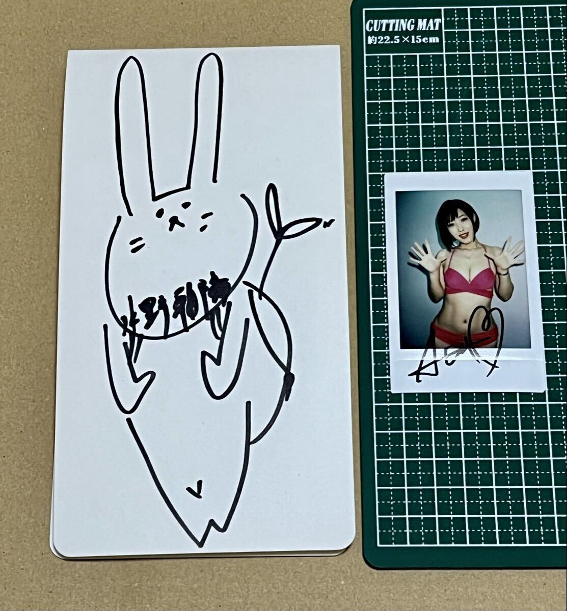 目立った傷や汚れなし】「篠崎 愛」チェキ グラビアアイドル の落札