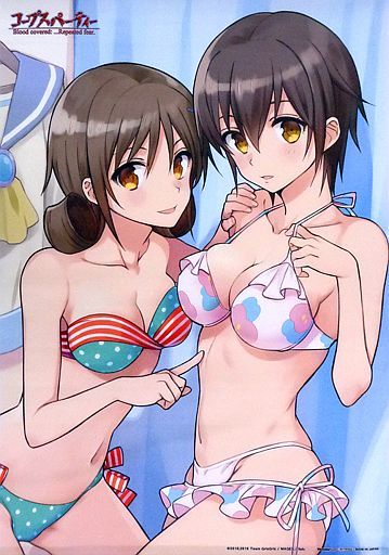 中古】中嶋直美＆篠原世似子 B2タペストリー 「3DSソフト コープス