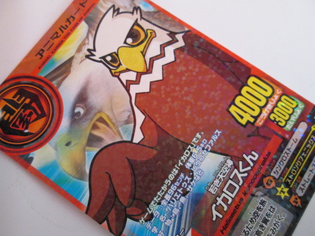 BD698 旧 アニマルカイザー プロモ Z20A-009c イカロスくんの落札情報