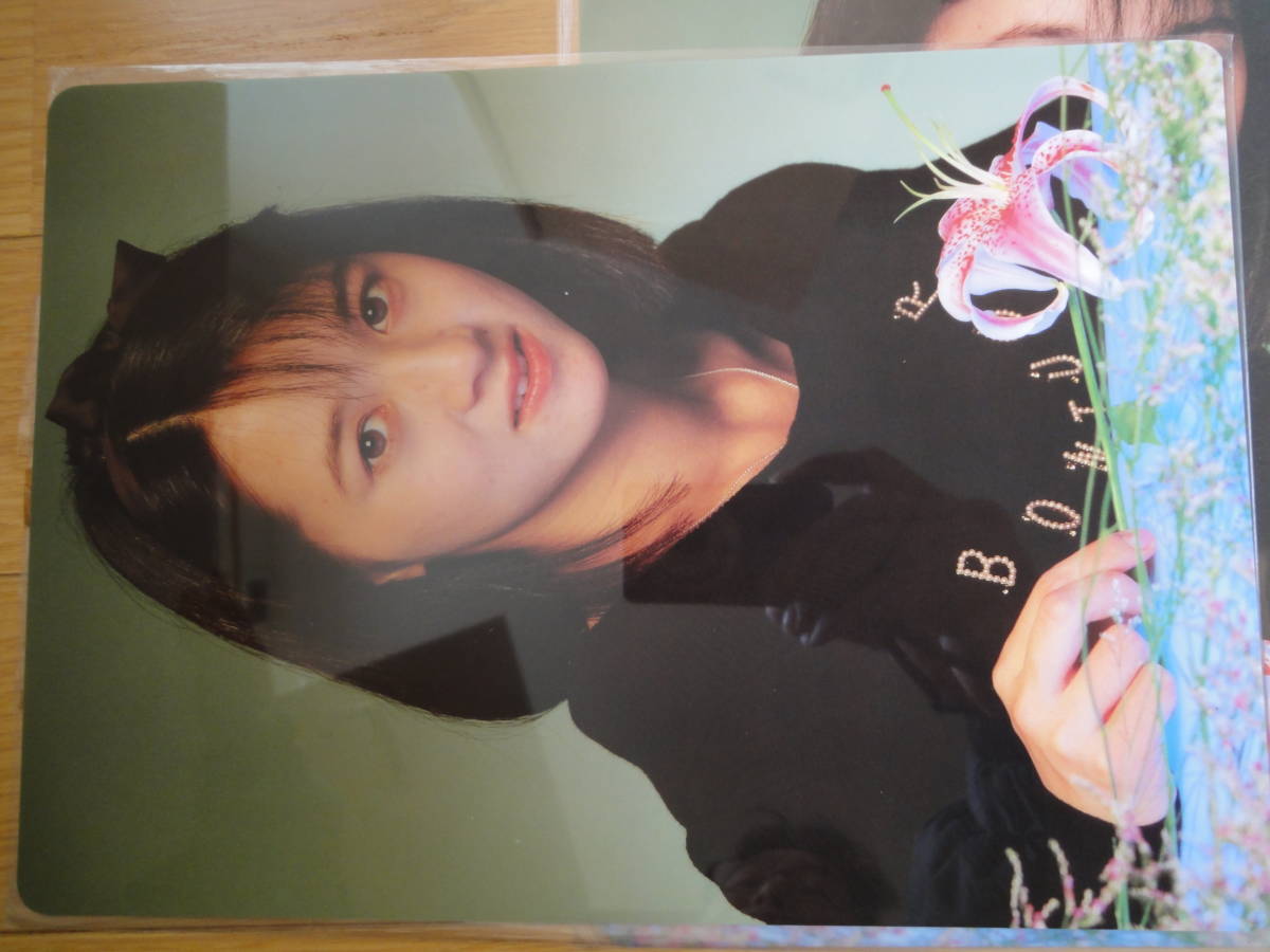 おニャン子クラブ河合その子下敷き Amazon.co.jp: 超レア河合その子