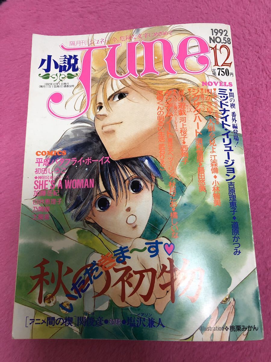 小説june 1992年no 58 間の楔番外編 アニメアフレコレポート インタビュー 桃栗みかん 初田しうこ 須和雪里 加藤冬紀 秋月こお 江守備 の落札情報詳細 ヤフオク落札価格情報 オークフリー スマートフォン版