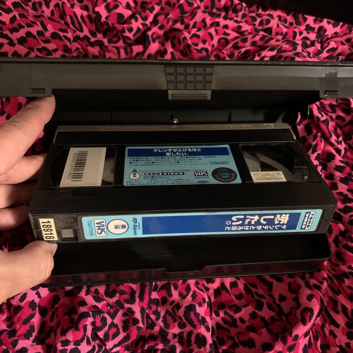 レアVHS ゲレンデがとけるほど恋したい 清水美沙 大沢たかお