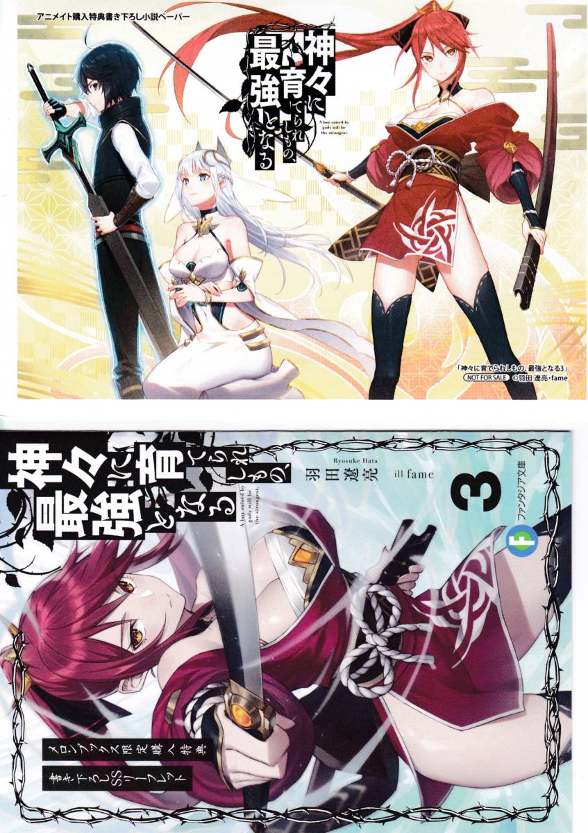 SS2点 神々に育てられしもの、最強となる 文庫3巻 アニメイト