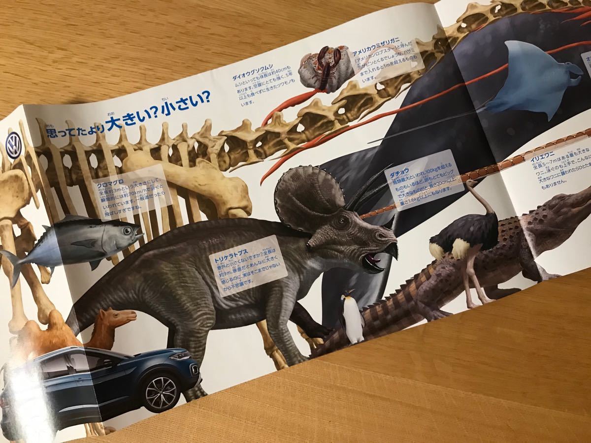 くらべる図鑑 フォルクスワーゲン T Cross コラボレーション カタログ 動物 レア ドイツ車 生き物 子供 教材 パンフレット 恐竜 の落札情報詳細 ヤフオク落札価格情報 オークフリー スマートフォン版