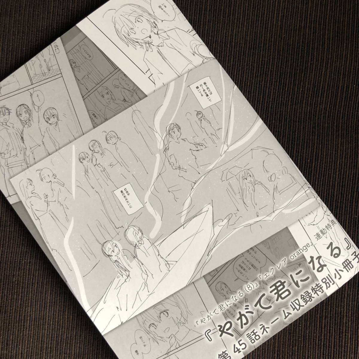 純正売 やがて君になる 特典小冊子